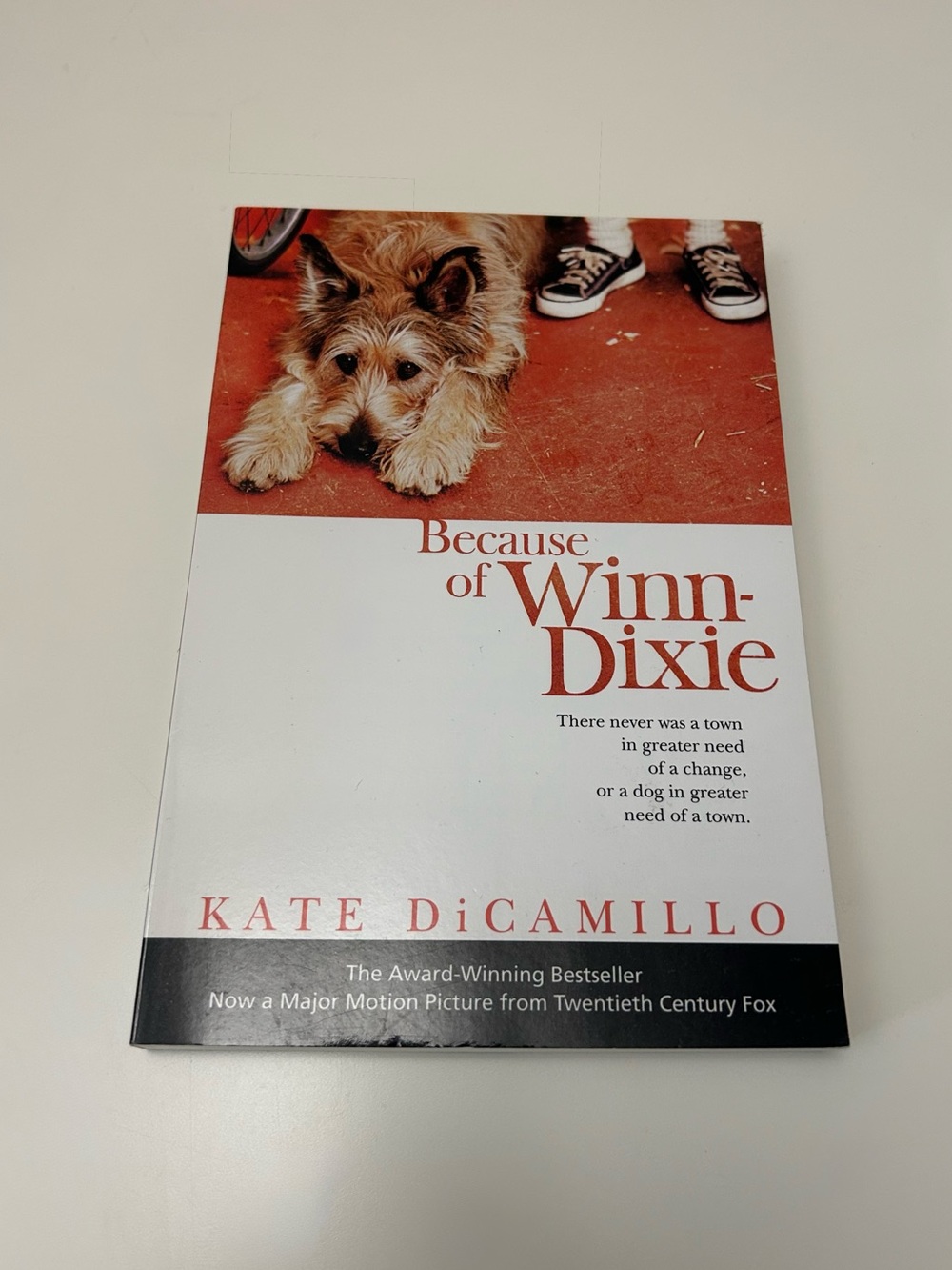 Because of Winn-Dixie Book